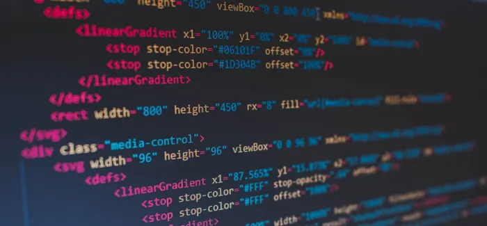 Web Development Coding