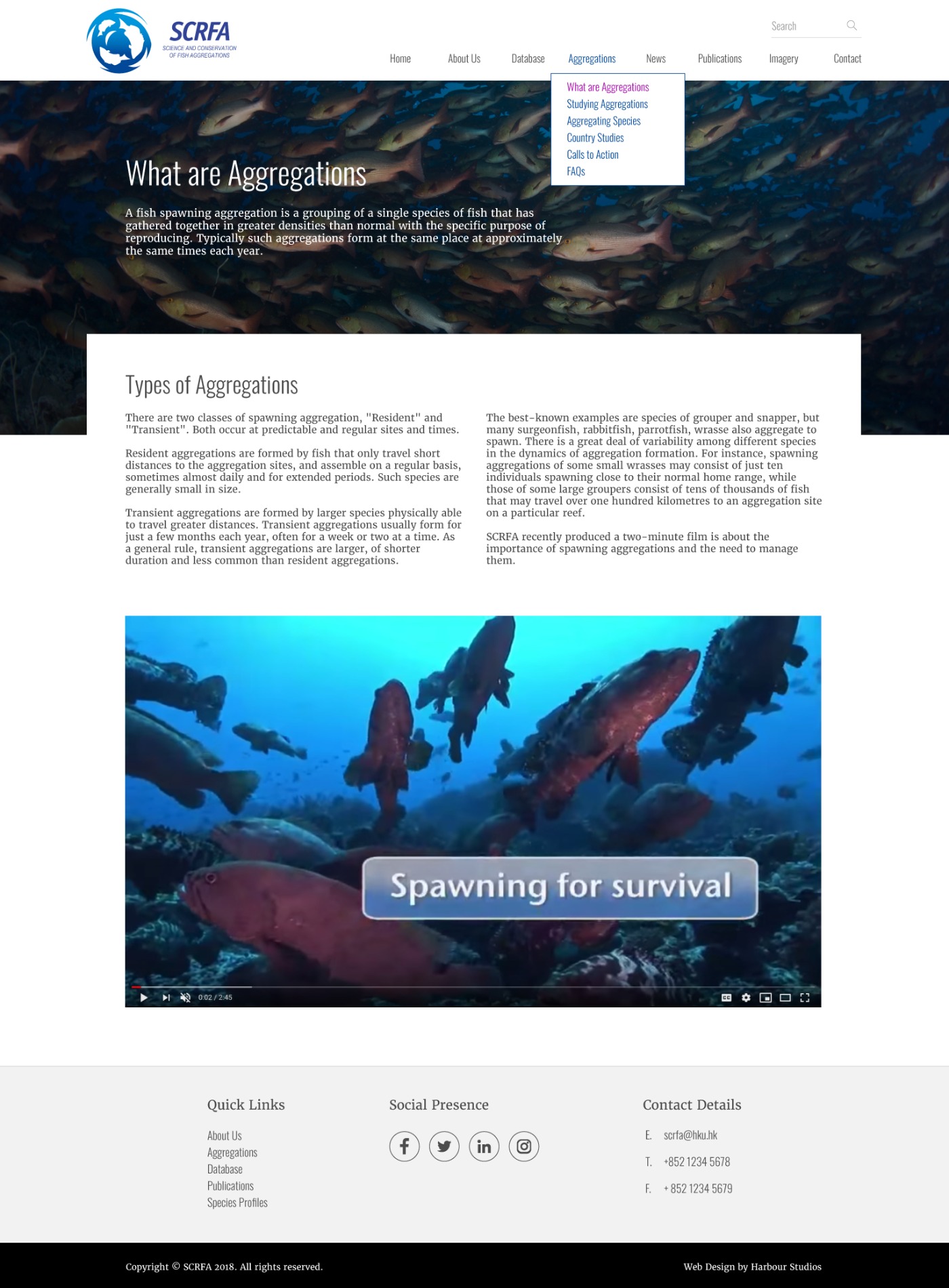 SCRFA — What are Aggregations