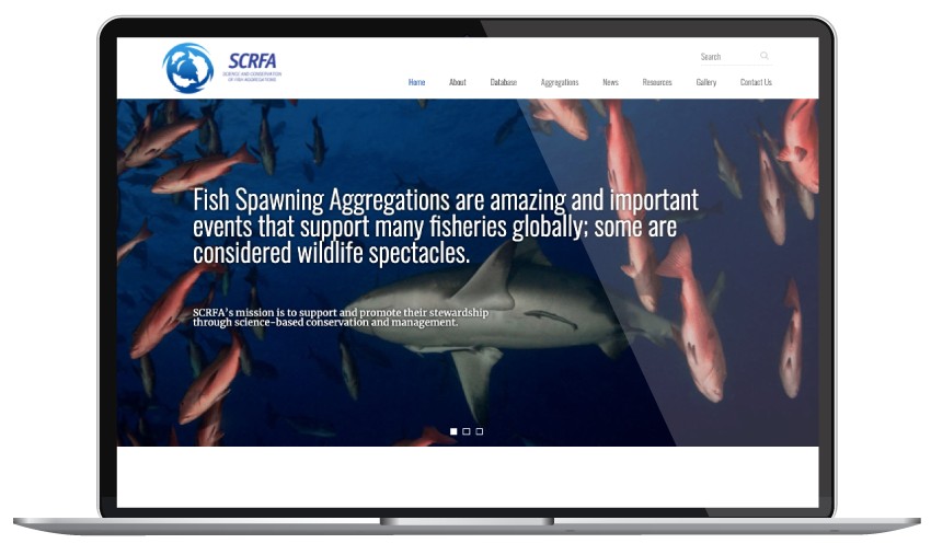 SCRFA project
