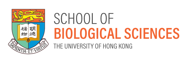 HKU SBS logo design