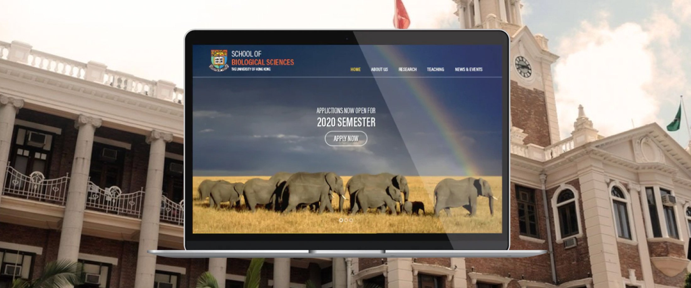 Singapore Website Design